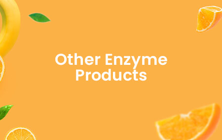 Enzyme Products